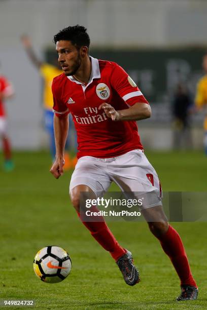 Benfcas Forward Raul Jimenez from Mexico during the Premier League 2017/18 match between Estoril Praia v SL Benfica, at Estadio Antonio Coimbra da...