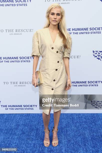 Isabel Lucas attends The Humane Society Of The United States' To The Rescue! Los Angeles Gala at Paramount Studios on April 21, 2018 in Los Angeles,...