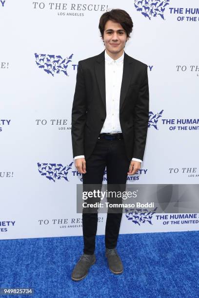 Diego Josef attends The Humane Society Of The United States' To The Rescue! Los Angeles Gala at Paramount Studios on April 21, 2018 in Los Angeles,...