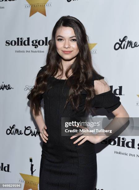 Nikki Hahn attends the CATstravaganza fundraiser and celebrity musical featuring Hamilton's Cats in support of the homeless animals of Los Angeles at...
