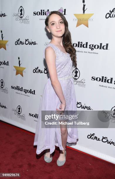 Ally Veloudis attends the CATstravaganza fundraiser and celebrity musical featuring Hamilton's Cats in support of the homeless animals of Los Angeles...