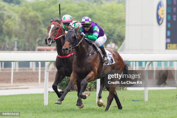 Jockey Douglas Whyte riding Gracious Ryder wins Race 4 Nurturing Talent Handicap at Sha Tin racecourse on April 21 , 2018 in Hong Kong.