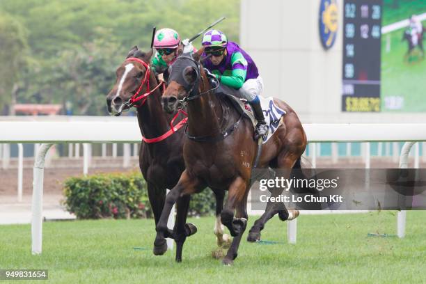 Jockey Douglas Whyte riding Gracious Ryder wins Race 4 Nurturing Talent Handicap at Sha Tin racecourse on April 21 , 2018 in Hong Kong.