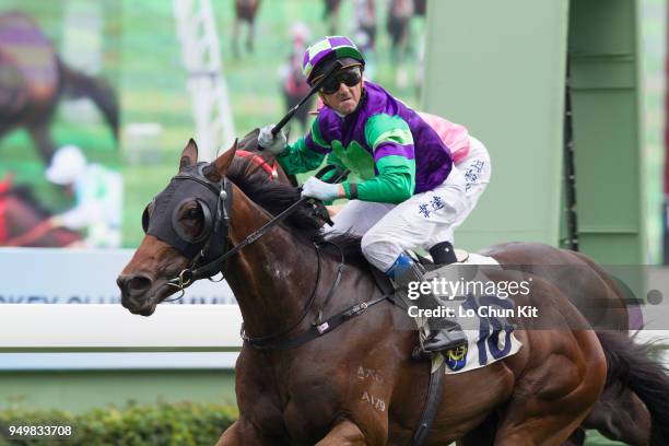 Jockey Douglas Whyte riding Gracious Ryder wins Race 4 Nurturing Talent Handicap at Sha Tin racecourse on April 21 , 2018 in Hong Kong.