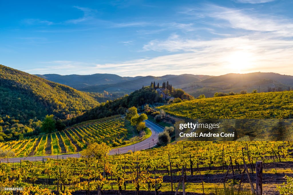 Tuscany landscape at sunset. Greve in Chianti, Florence, Tuscany
