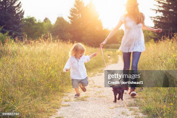 wandelen in het park met zijn moeder en puppy jongetje - family with dog stockfoto's en -beelden