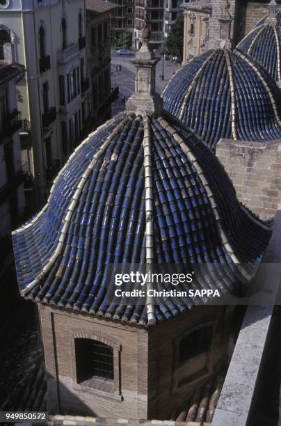 Toit de la cathédrale Sainte-Marie de Valence, Espagne.