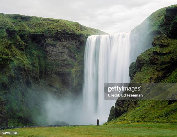 skogafoss waterfall, iceland - waterfall stockfoto's en -beelden