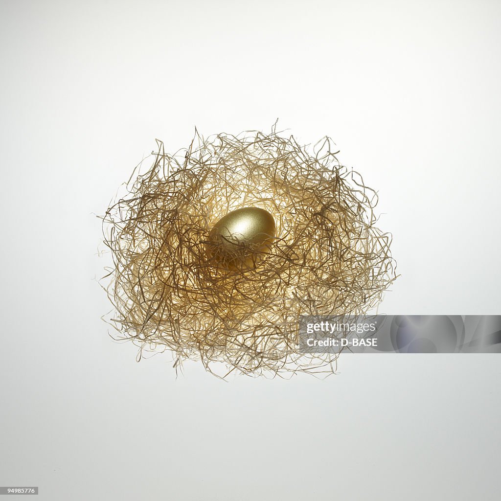 Golden egg in bird's nest