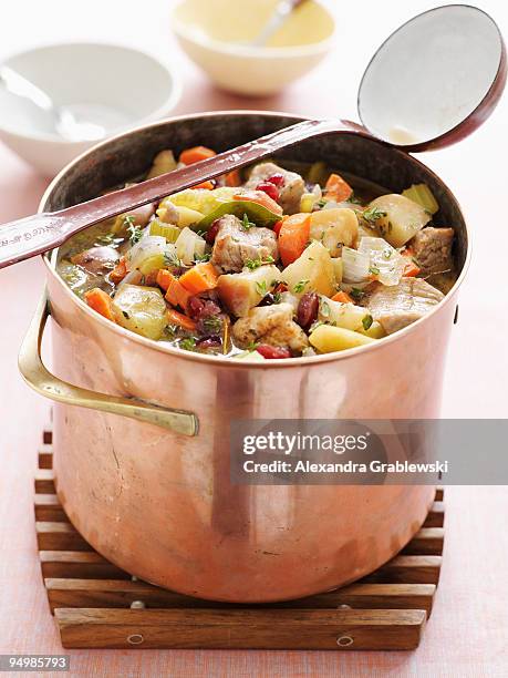 autumn stew - stew pot stock pictures, royalty-free photos & images