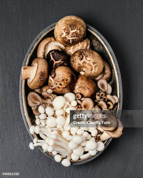 edible mushrooms - champignon stock pictures, royalty-free photos & images