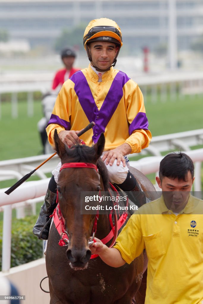 Horse Racing in Hong Kong - Sha Tin Racecourse