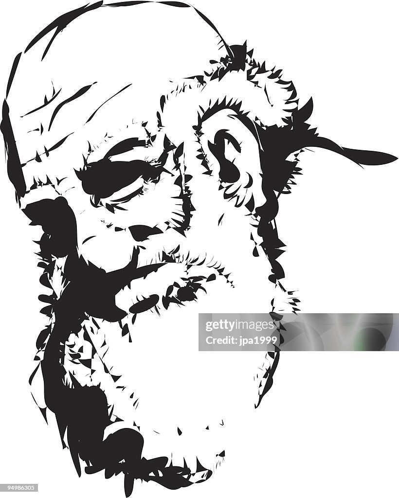 Vector ilustración de un viejo hombre