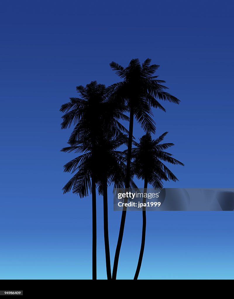 Black silhouette of palm trees
