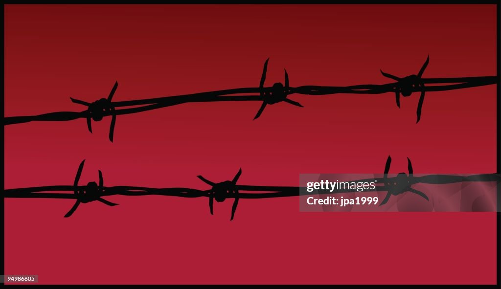 Barbed wire