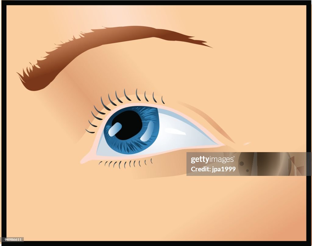 Vector eye