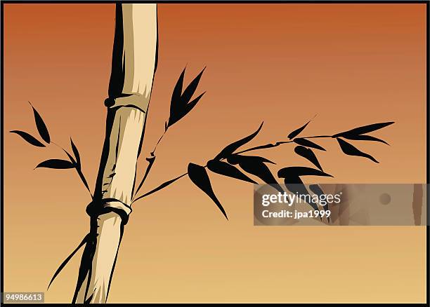 bamboo tree - bamboo forrest in japan stock illustrations