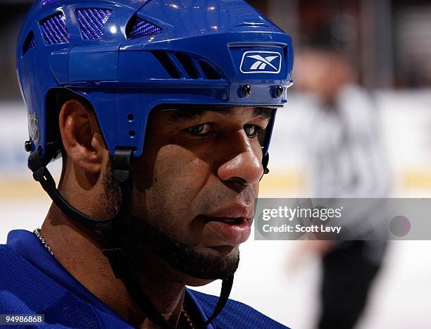 Donald Brashear of the New York Rangers looks on at the New York Islanders on December 16, 2009 at Madison Square Garden in New York City.