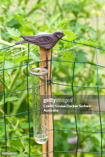 metal bird rain gauge - the penrose stock pictures, royalty-free photos & images