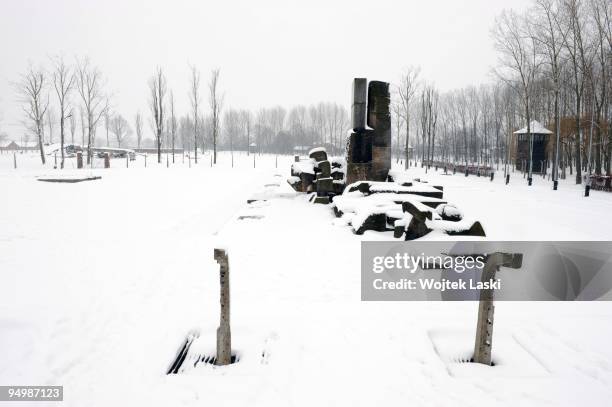 The main monument at Auschwitz II-Birkenau extermination camp on December 17, 2009 in Brzezinka, Poland. Auschwitz was a network of concentration...