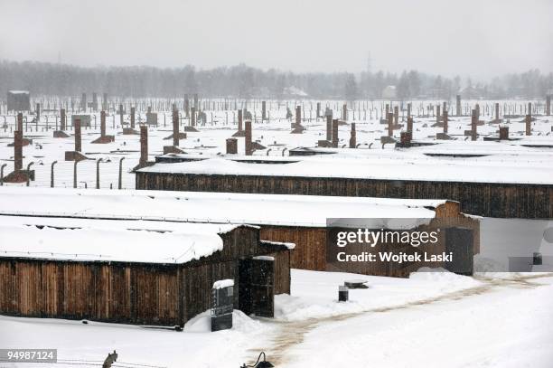Barracks and wrecked chimneys of the former Auschwitz II-Birkenau extermination camp on December 17, 2009 in Brzezinka, Poland. Auschwitz was a...