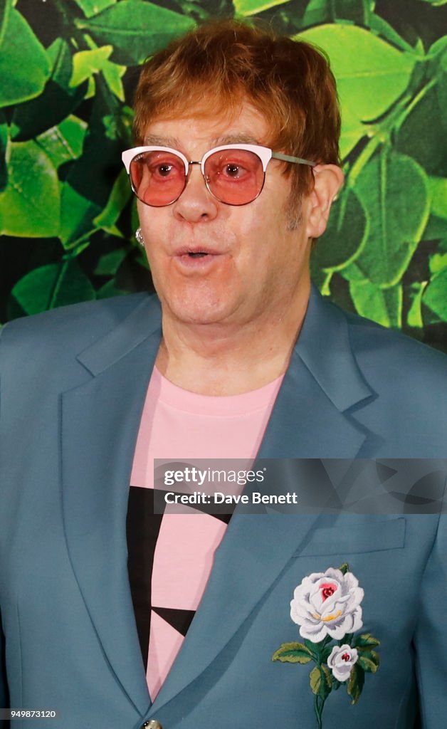 "Sherlock Gnomes" Family Gala Screening Hosted By Sir Elton John & David Furnish - VIP Arrivals