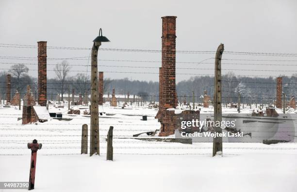 The wrecked chimneys of the former Auschwitz II-Birkenau extermination camp seen through a barbed wire on December 17, 2009 in Brzezinka, Poland....