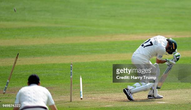 Daryl Mitchell of Worcestershire is bowled by Lewis Gregory of Somerset during Day Three of the Specsavers County Championship Division One match...