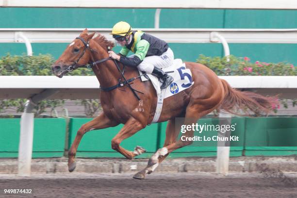 Jockey Zac Purton riding Ugly Warrior wins Race 9 Age-Friendly City Handicap at Sha Tin racecourse on April 21 , 2018 in Hong Kong.