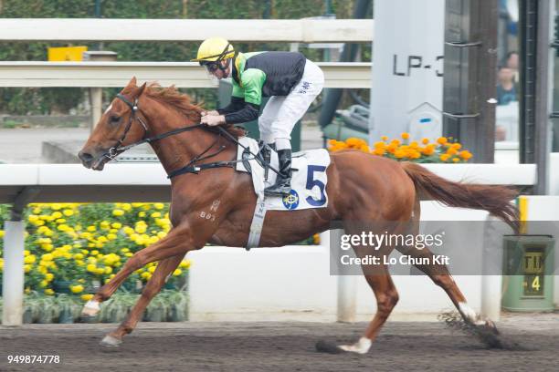 Jockey Zac Purton riding Ugly Warrior wins Race 9 Age-Friendly City Handicap at Sha Tin racecourse on April 21 , 2018 in Hong Kong.