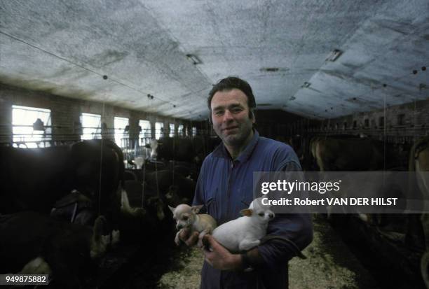 Fermier avec ses chiens et ses bovins en 1985 à Val-d'Isère en France.