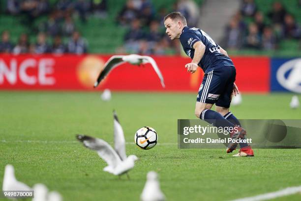 Leigh Broxham of the Victory runs with the ball amongst seagulls during the A-League Elimination Final match between Melbourne Victory and Adelaide...