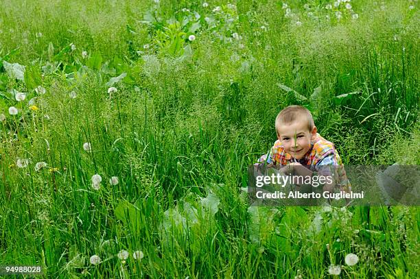 boy in a field of grass - alberto guglielmi stock pictures, royalty-free photos & images