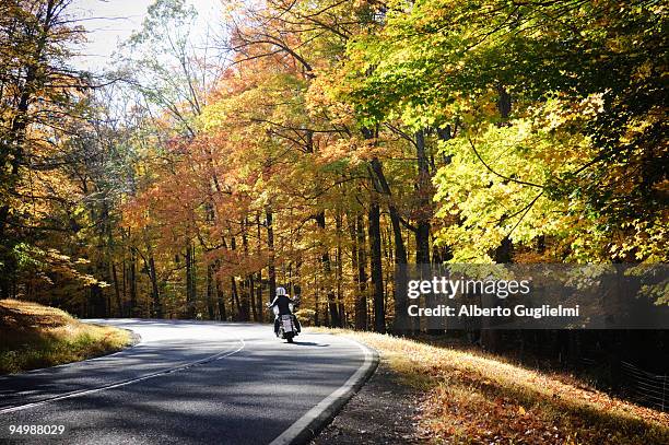 woman riding motorbike - alberto guglielmi stock pictures, royalty-free photos & images