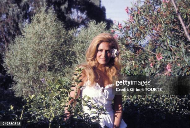 627 Dalida Portrait Stock Photos High Res Pictures And Images Getty 627-dalida-portrait-stock-photos-high-res-pictures-and-images-getty