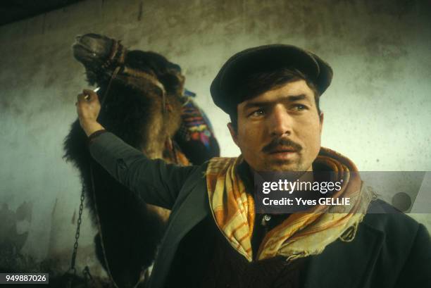 Un homme et son chameau avant une combat traditionnel en janvier 1983 en Turquie.