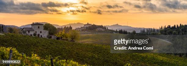 farmhouse and its vineyards at sunrise. gaiole in chianti, siena, tuscany - chianti streek stockfoto's en -beelden