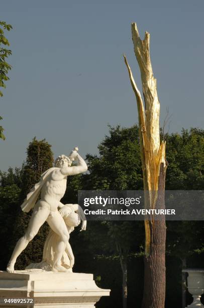 Italian artist Giuseppe Penone sculture 'Albero foldorato' at Chateau de Versailles on June 6, 2013 in Versailles, France. The exhibition in the...