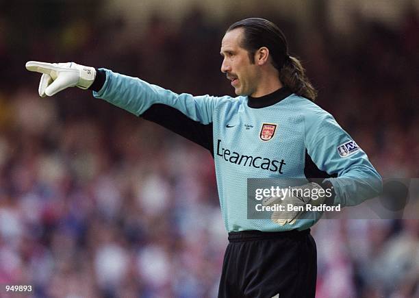 David Seeman 1,099 Goalkeeper David Seaman Stock Photos, High-Res Pictures, and ...