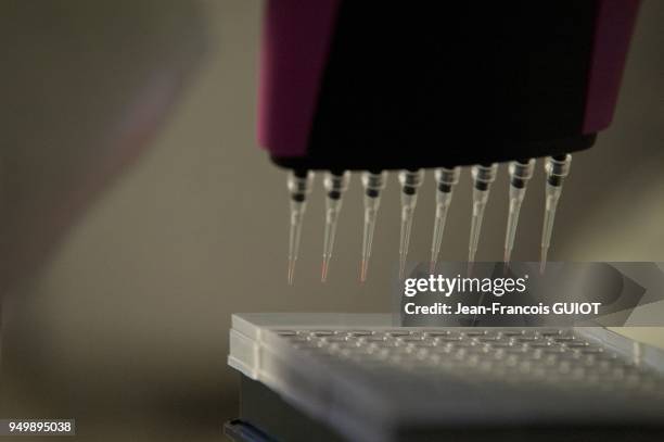 Preparation d'echantillon d'ADN pour une amplification PCR afin de determiner un profil genetique par le laboratoire de police scientifique de la...