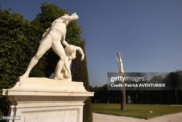 Italian artist Giuseppe Penone sculture 'Albero foldorato' at Chateau de Versailles on June 6, 2013 in Versailles, France. The exhibition in the...