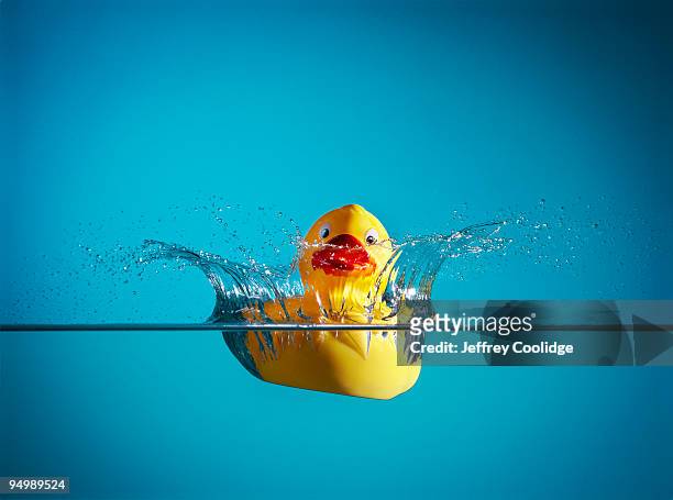 rubber duck splashing in water - badeend stockfoto's en -beelden
