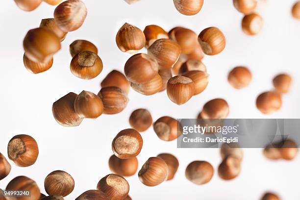 食品 hazelnuts 秋の果物 - ヘーゼルナッツ ストックフォトと画像
