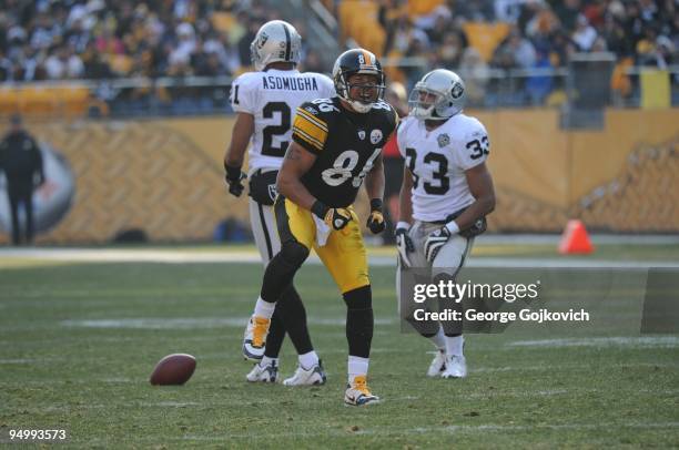 Wide receiver Hines Ward of the Pittsburgh Steelers celebrates after catching a pass for a first down against safety Tyvon Branch and cornerback...