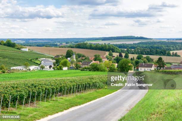 row vine grape in champagne vineyards at montagne de reims, france - route montagne stockfoto's en -beelden