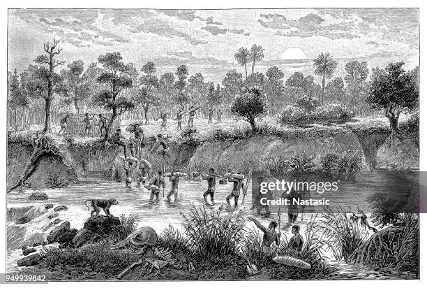 stockillustraties, clipart, cartoons en iconen met de rivier van de kruising van de stam in afrika - zambezi river
