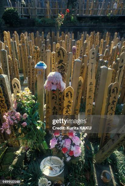 Offrandes sur la tombe d'un chien dans un cimetière pour animaux domestiques en février 1986 au Japon.