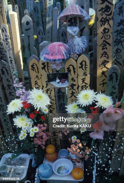 Offrandes sur la tombe d'un chien dans un cimetière pour animaux domestiques en février 1986 au Japon.