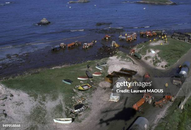Nettoyage des plages souillées par le pétrole après le naufrage du pétrolier Amoco Cadiz en mars 1978 à Portsall, France.