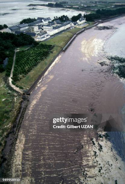 Marée noire sur les côtes bretonnes consécutive au naufrage du pétrolier Amoco Cadiz en mars 1978, France.